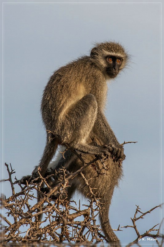 suedafrika_2019_0177.jpg