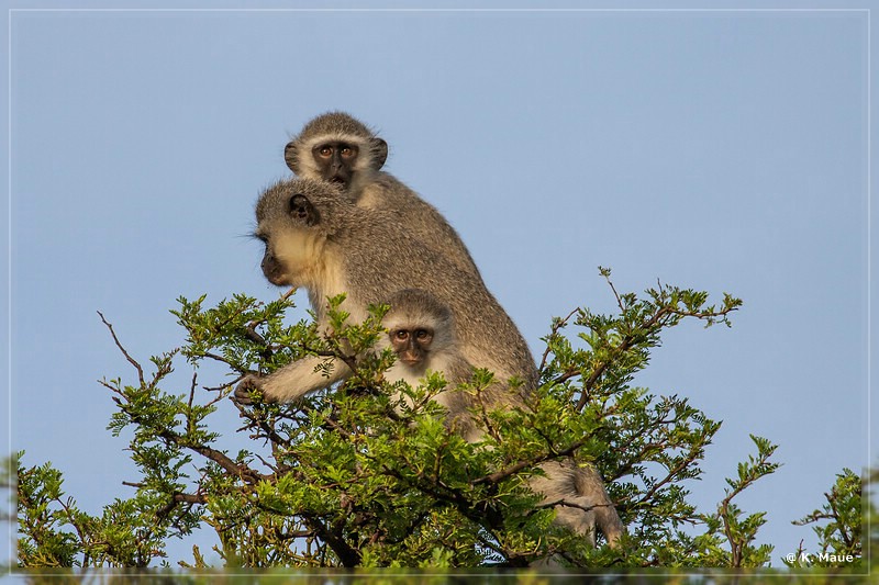 suedafrika_2019_0178.jpg