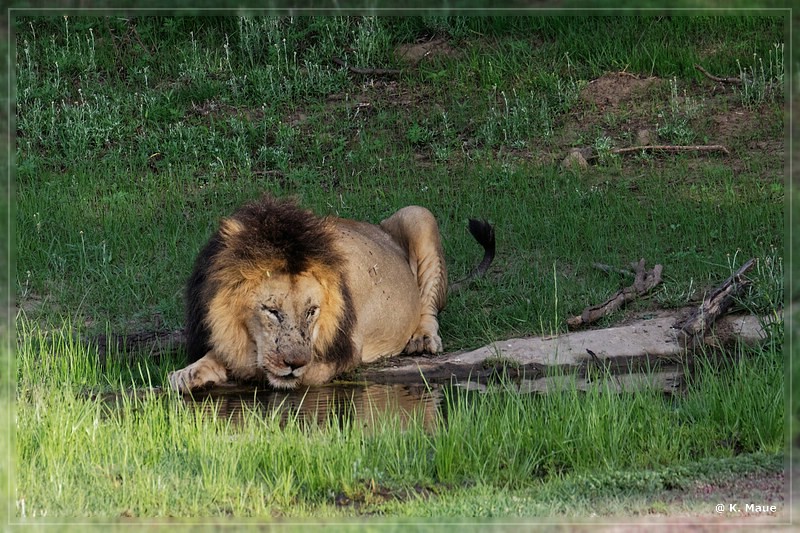 suedafrika_2019_0181.jpg