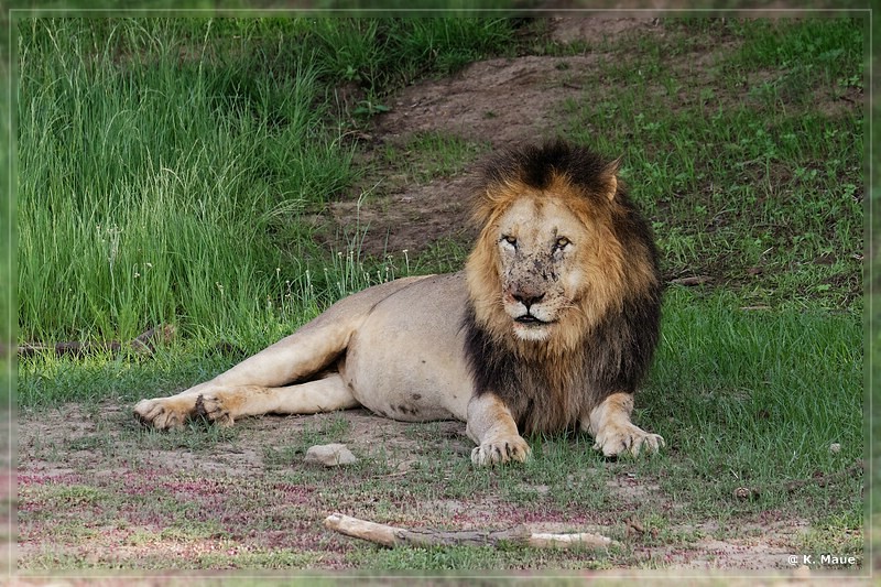 suedafrika_2019_0182.jpg