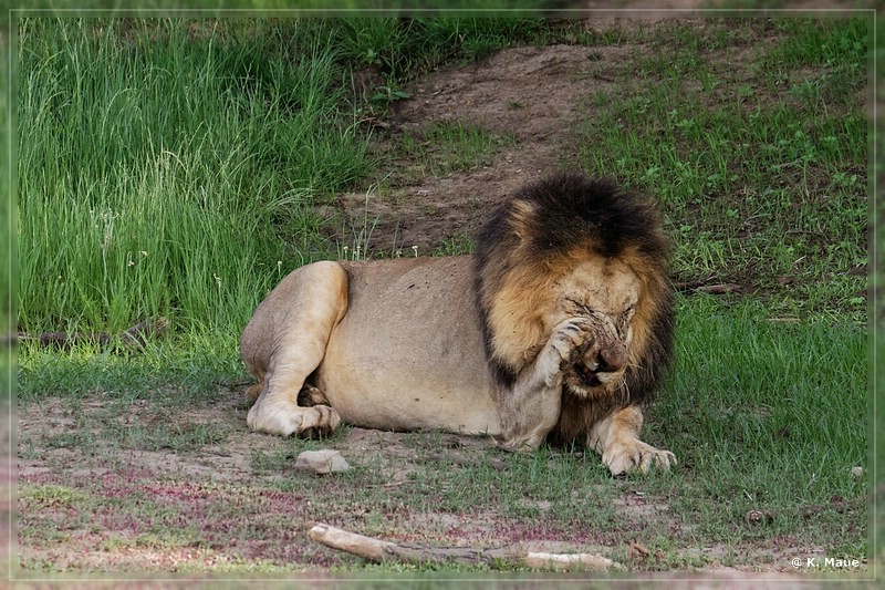 suedafrika_2019_0183.jpg