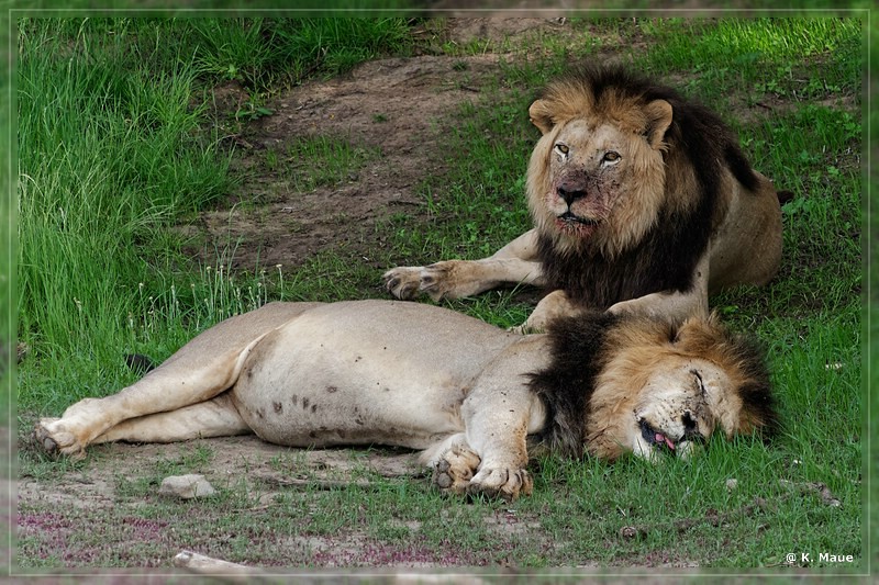 suedafrika_2019_0191.jpg