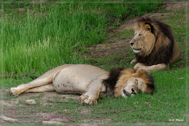 suedafrika_2019_0194.jpg