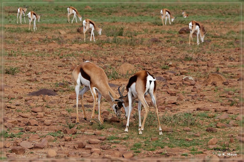 suedafrika_2019_0202.jpg