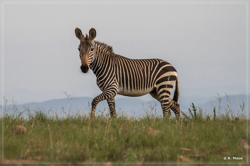 suedafrika_2019_0203.jpg