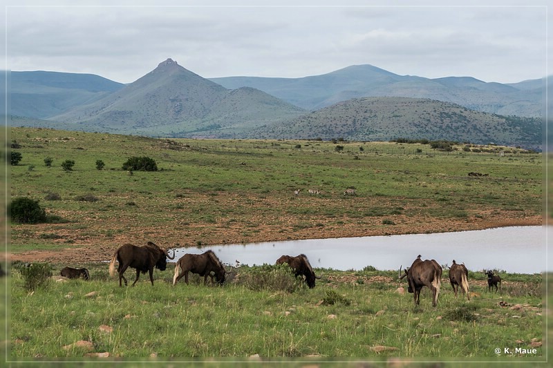 suedafrika_2019_0205.jpg