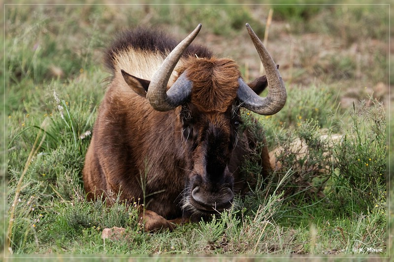 suedafrika_2019_0206.jpg