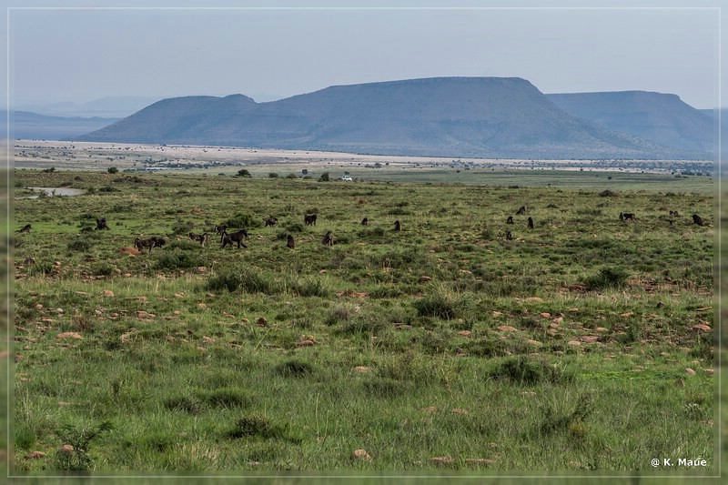 suedafrika_2019_0208.jpg