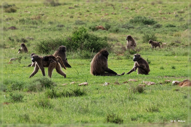 suedafrika_2019_0209.jpg