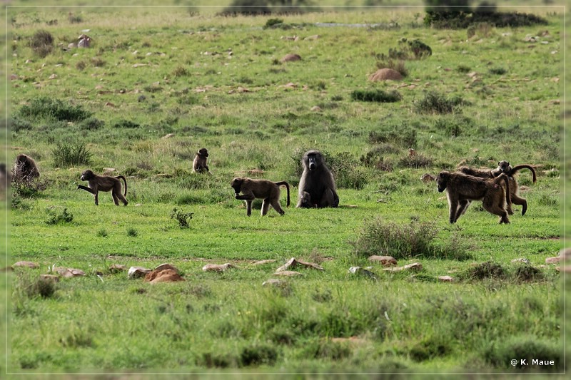 suedafrika_2019_0210.jpg