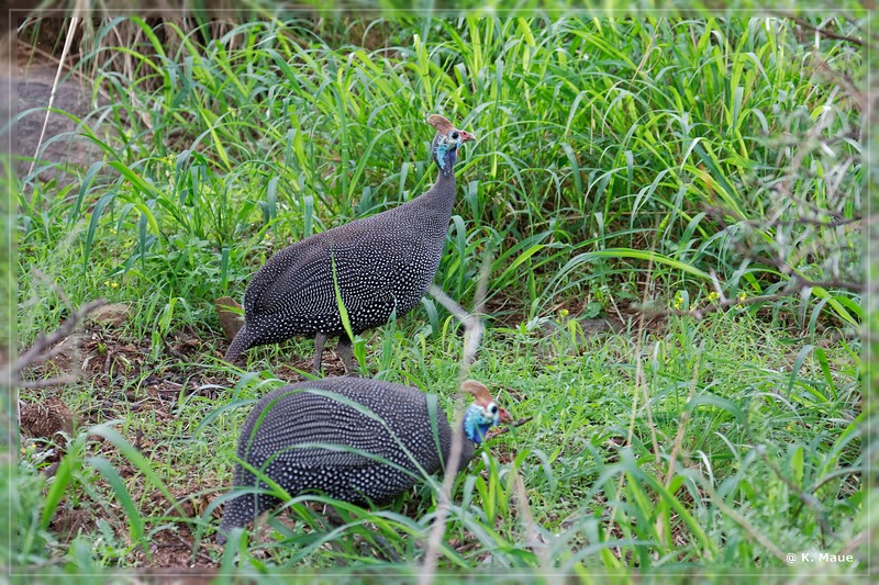 suedafrika_2019_0216.jpg