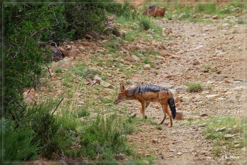 suedafrika_2019_0217.jpg