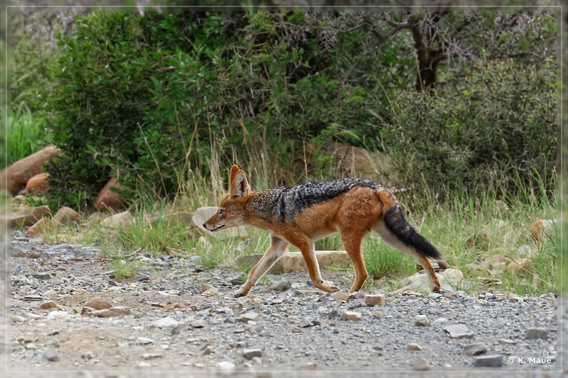 suedafrika_2019_0218.jpg