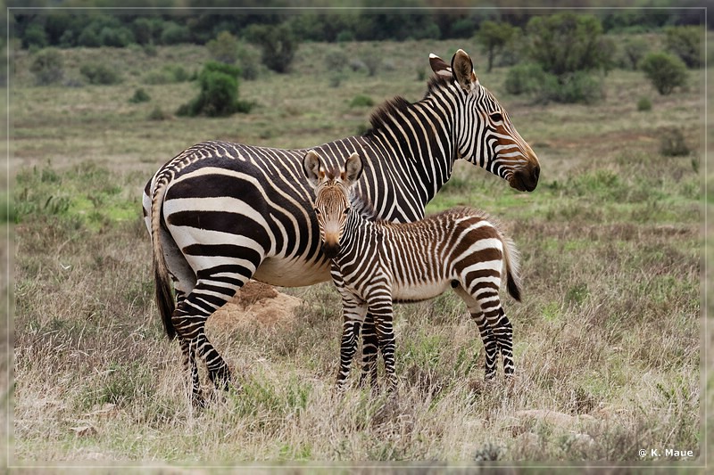 suedafrika_2019_0223.jpg