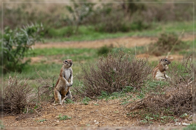 suedafrika_2019_0227.jpg