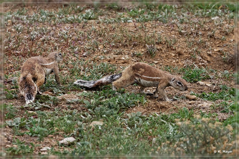 suedafrika_2019_0229.jpg