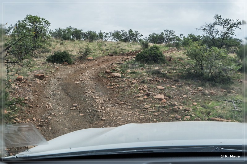 suedafrika_2019_0230.jpg