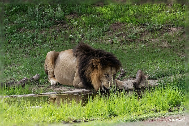 suedafrika_2019_0241.jpg