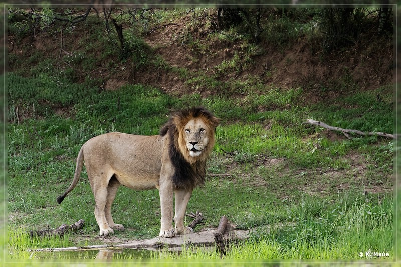 suedafrika_2019_0242.jpg