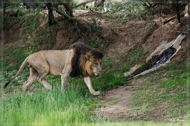 suedafrika_2019_0243.jpg