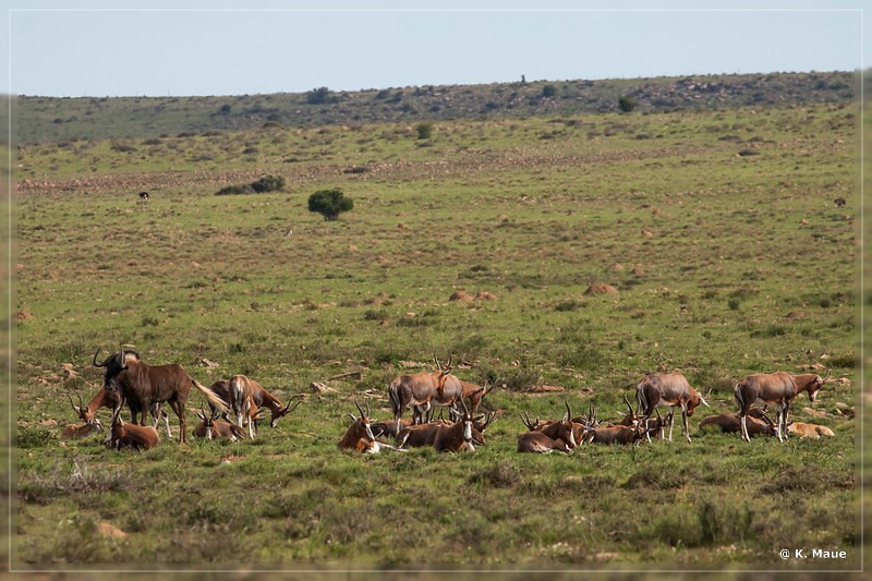 suedafrika_2019_0252.jpg