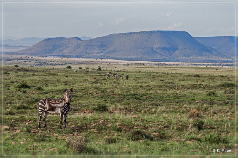 suedafrika_2019_0258.jpg