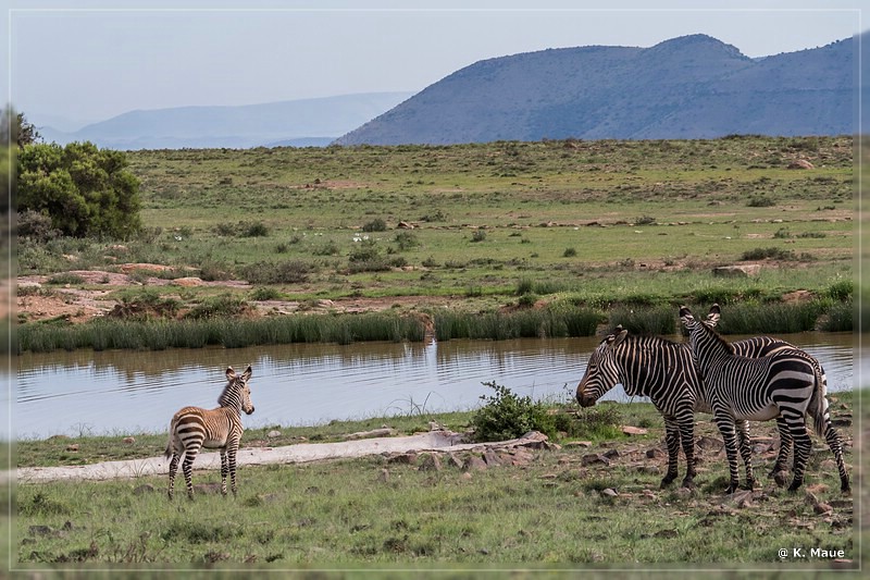 suedafrika_2019_0265.jpg