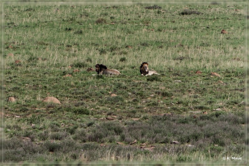 suedafrika_2019_0266.jpg