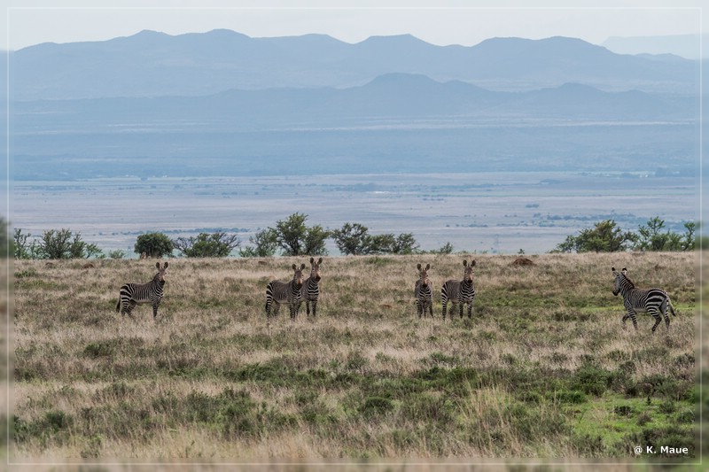 suedafrika_2019_0267.jpg