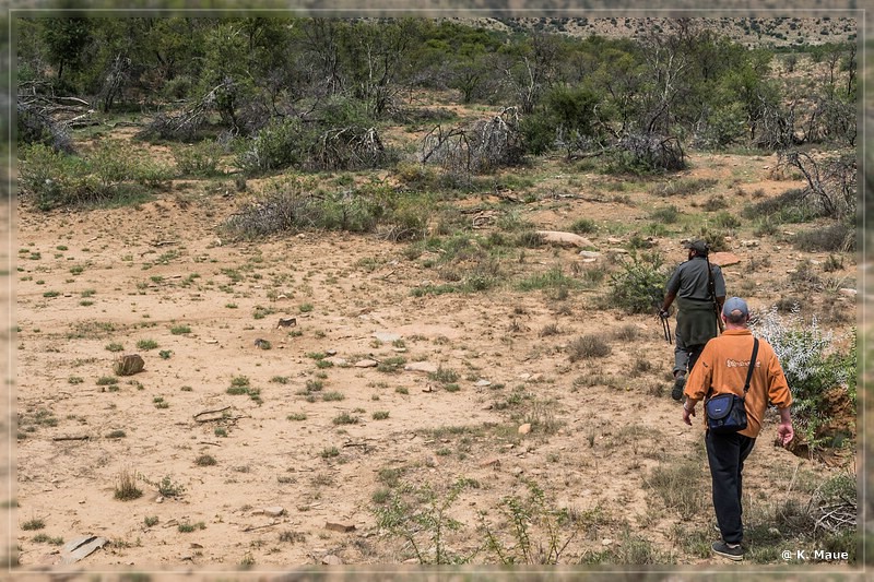 suedafrika_2019_0269.jpg