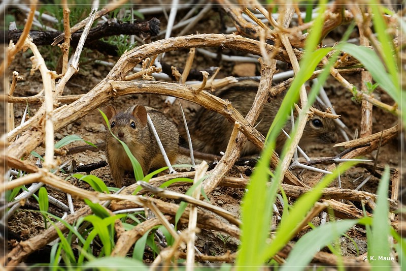 suedafrika_2019_0274.jpg