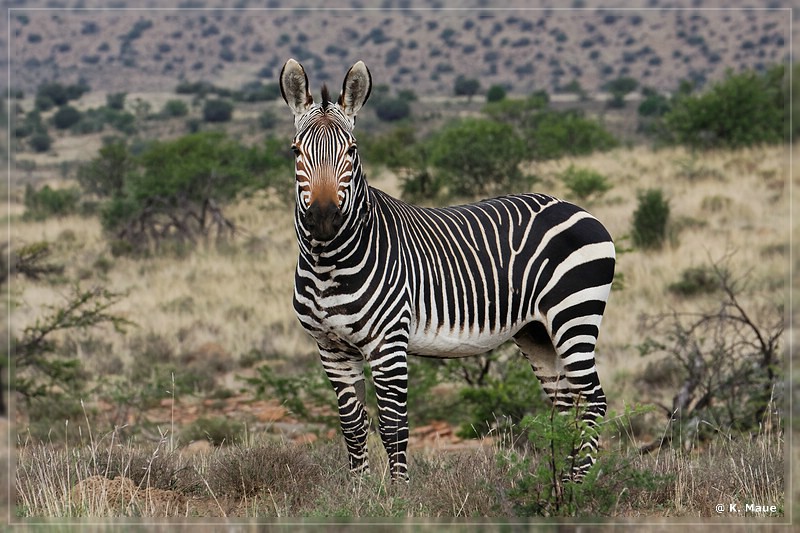 suedafrika_2019_0278.jpg