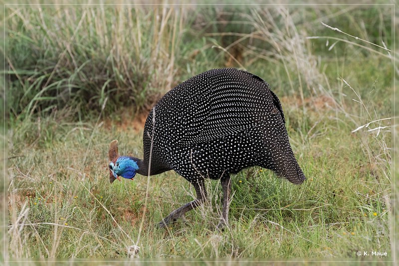 suedafrika_2019_0279.jpg