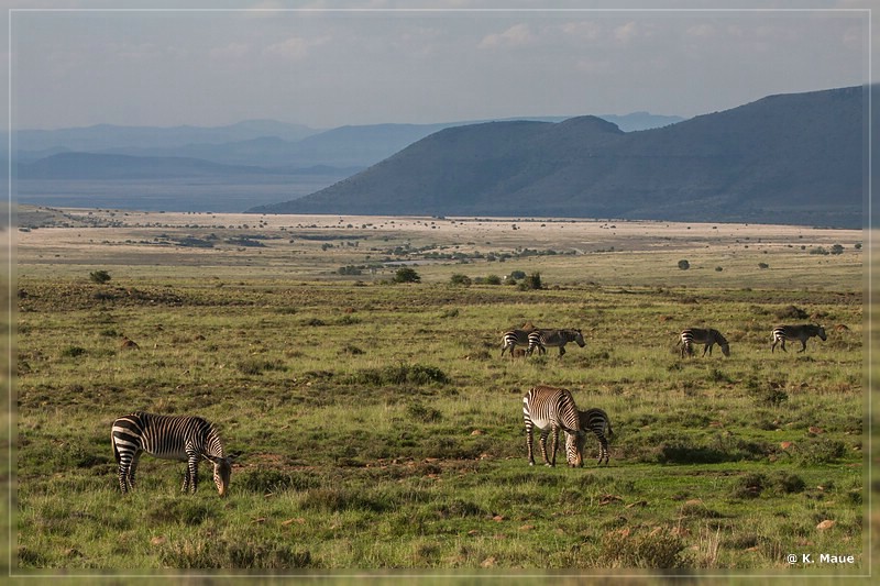 suedafrika_2019_0281.jpg