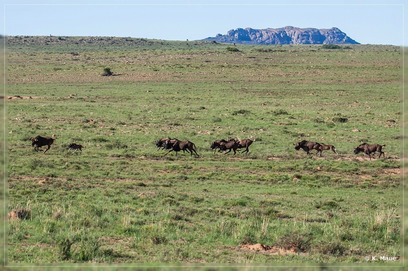 suedafrika_2019_0286.jpg