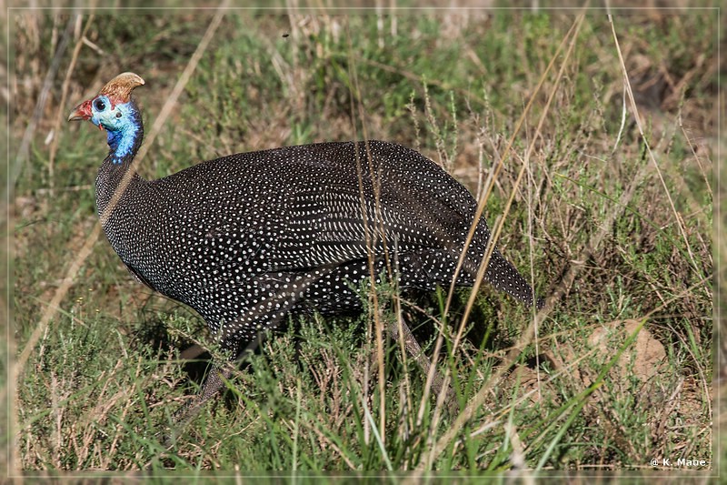 suedafrika_2019_0292.jpg