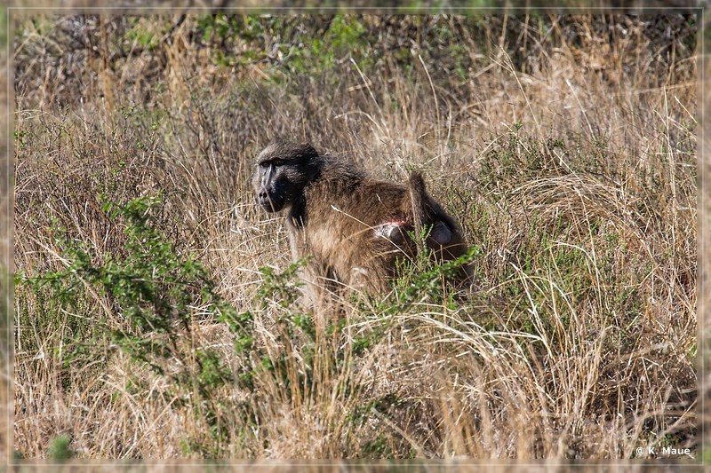 suedafrika_2019_0293.jpg