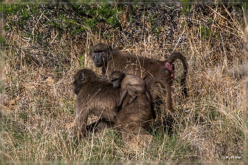 suedafrika_2019_0294.jpg