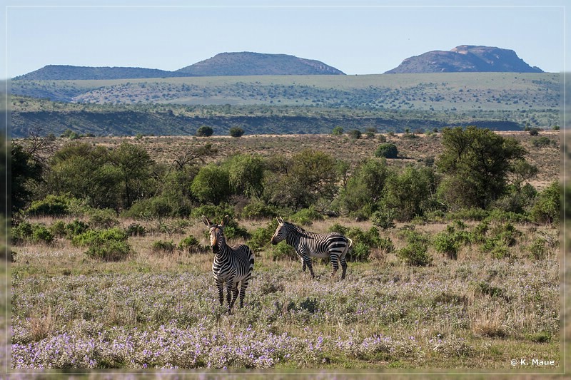 suedafrika_2019_0295.jpg