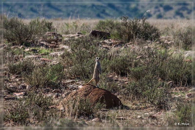 suedafrika_2019_0297.jpg