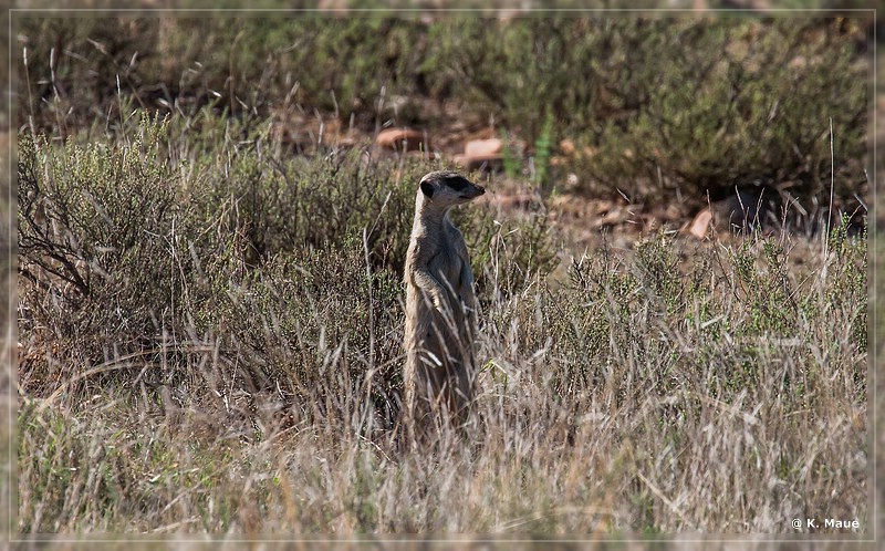 suedafrika_2019_0298.jpg