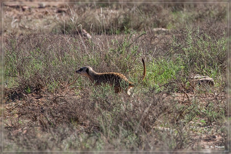 suedafrika_2019_0299.jpg