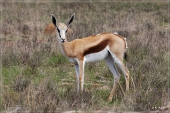 suedafrika_2019_0145