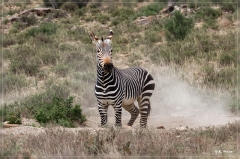 suedafrika_2019_0146