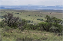 suedafrika_2019_0151