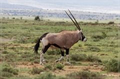 suedafrika_2019_0153