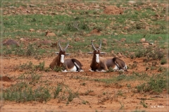 suedafrika_2019_0155