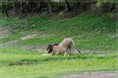 suedafrika_2019_0161