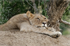 suedafrika_2019_0165