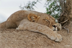 suedafrika_2019_0167